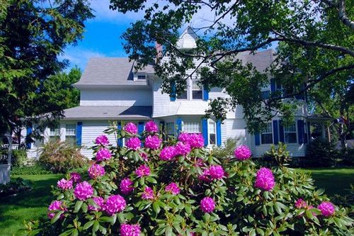 Atlantic Birches Inn B&B Old Orchard Beach Exterior foto